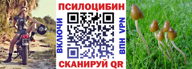 МЕГА как войти  Усть-Катав  Галлюциногенные грибы Cubensis  закладки 